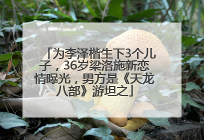 为李泽楷生下3个儿子，36岁梁洛施新恋情曝光，男方是《天龙八部》游坦之